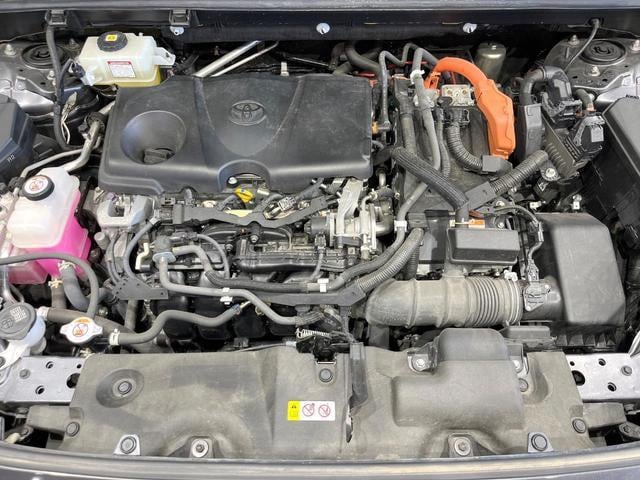 19676406_carP_l_16.jpg