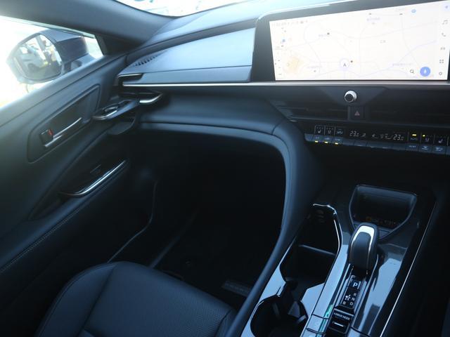 0200525A30251005W00113.jpg