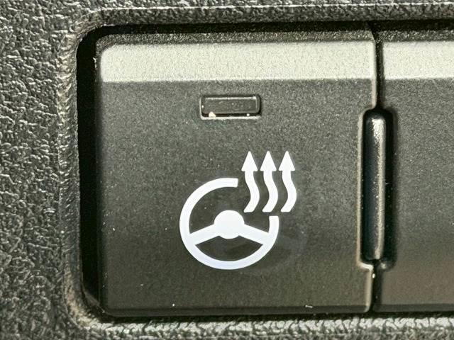 22236531_carP_l_5.jpg