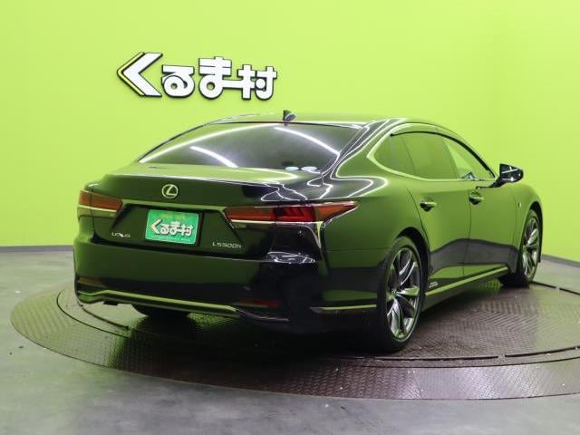 17322592_carP_l_3.jpg