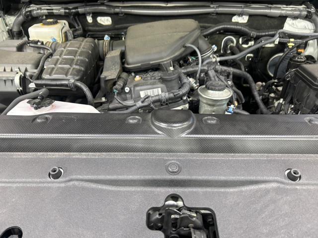 21254707_carP_l_16.jpg
