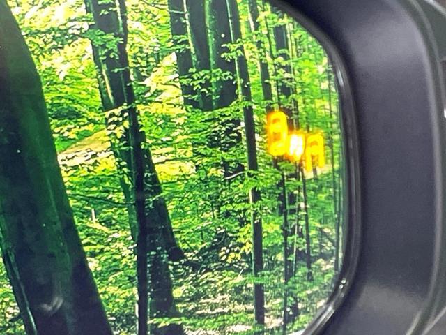 22316360_carP_l_17.jpg
