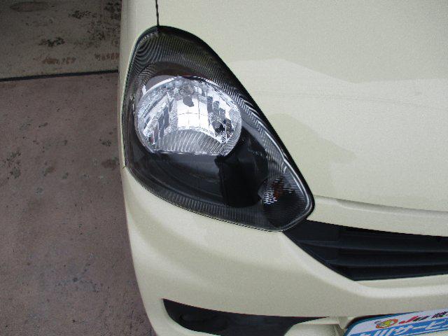 cb81567569e40cc61ef42d0148eac8ae.jpg