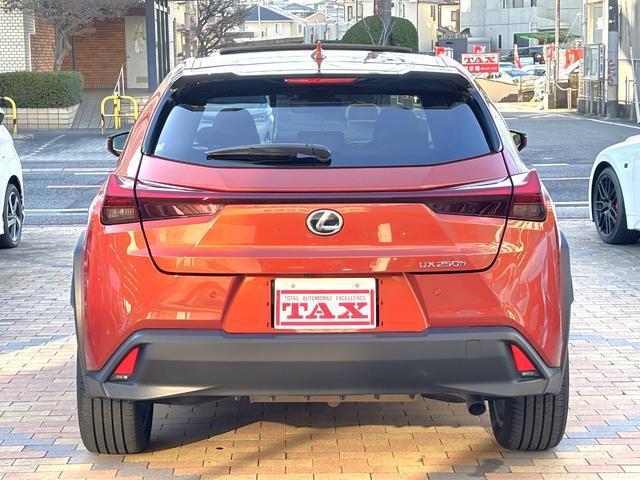 21543613_carP_l_17.jpg
