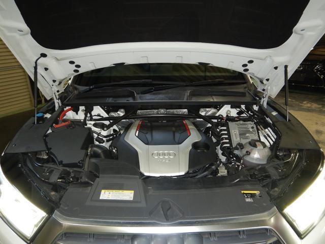 19352700_carP_l_5.jpg