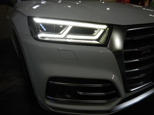 19352700_carP_l_6.jpg