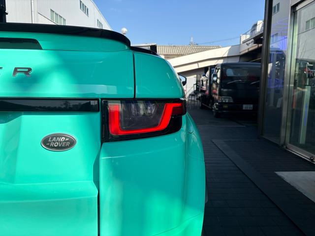 0708873A30260121W00110.jpg
