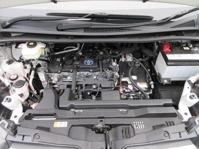 19881783_carP_l_12.jpg