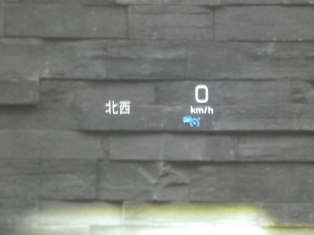 18433475_carP_l_12.jpg