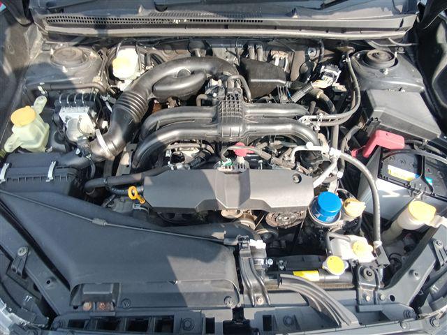 08.jpg
