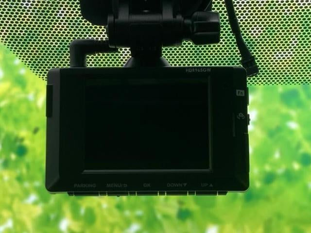 16478229_carP_l_6.jpg