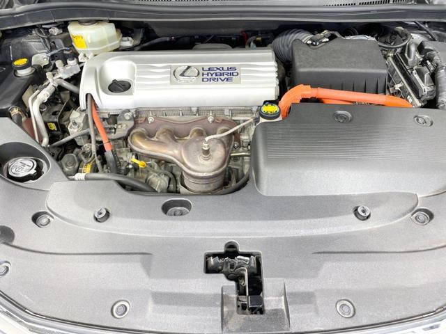 22526330_carP_l_12.jpg
