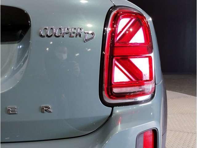 21196887_carP_l_7.jpg