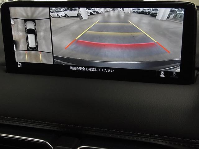 0500075A20260203K01916.jpg