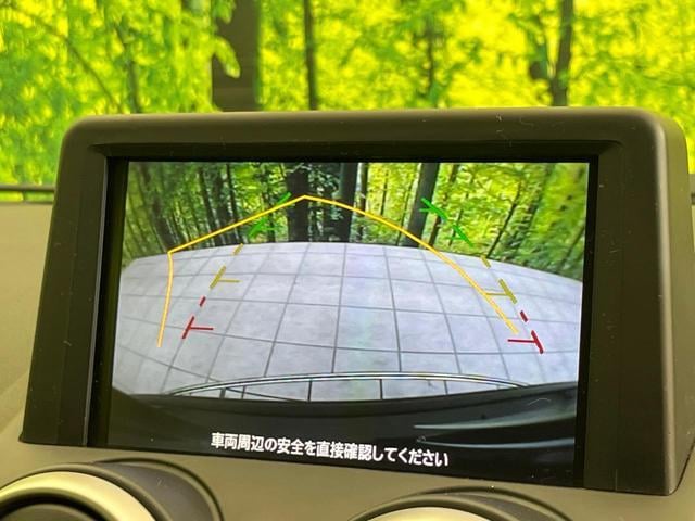 19897904_carP_l_4.jpg