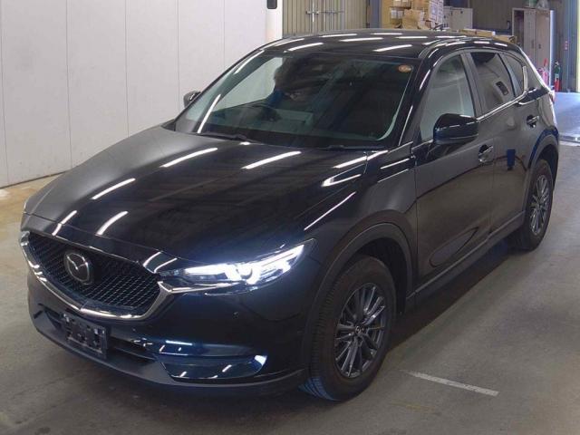 22119200_carP_l_10.jpg