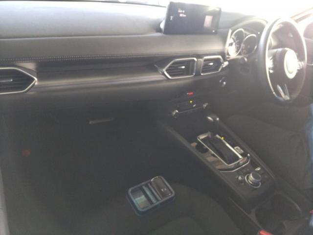 22119200_carP_l_15.jpg