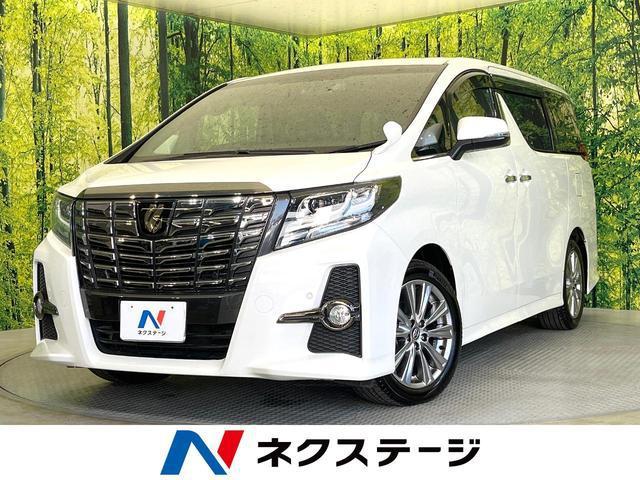 21008679_carP_l_1.jpg