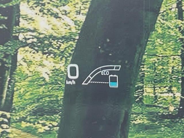 21078858_carP_l_17.jpg