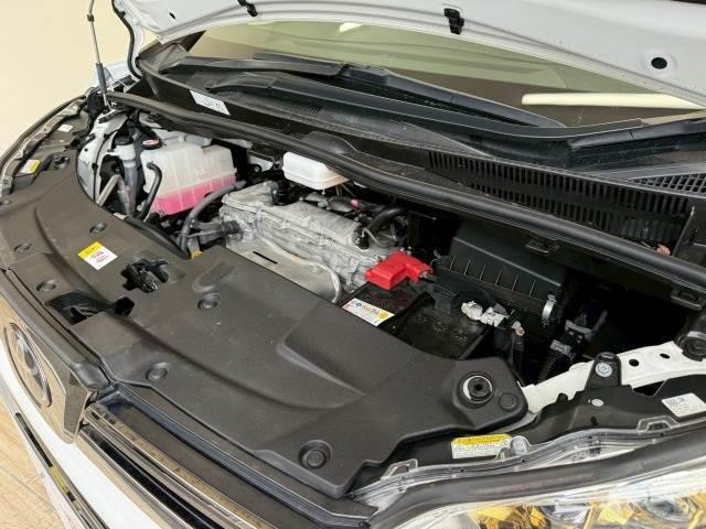 21829700_carP_l_20.jpg