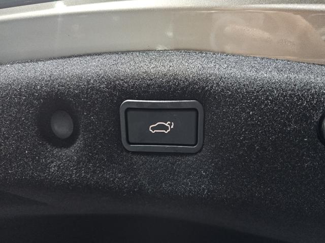 040c90ff60675351e2150e26016835fe.jpeg