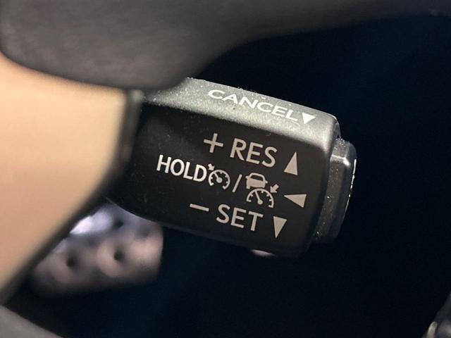 21344437_carP_l_10.jpg