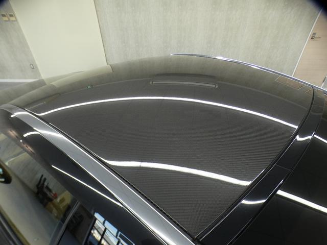 22241530_carP_l_12.jpg