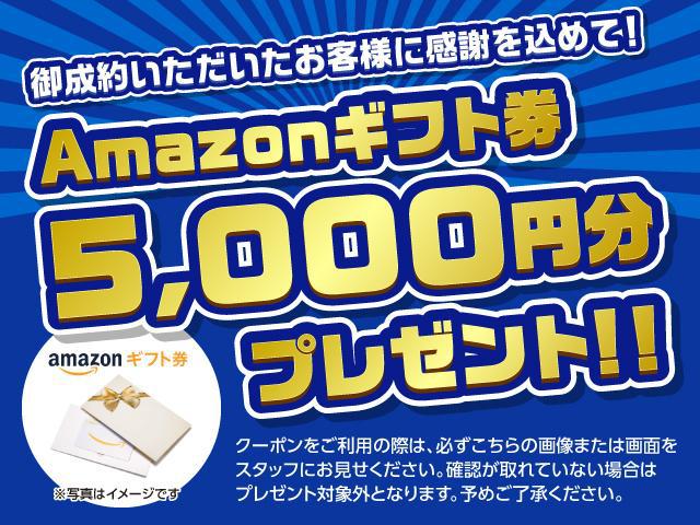 0707753A30260224W00204.jpg