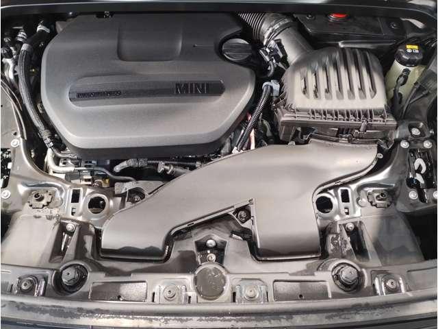 23234364_carP_l_2.jpg