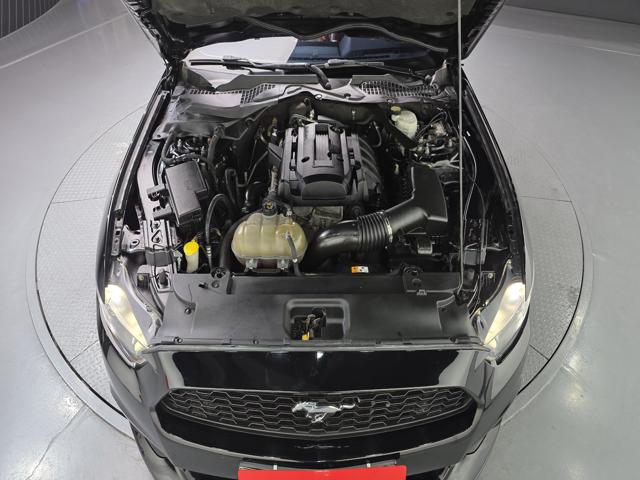 56e3e3ca3f072ad5038d768364ff78e8.jpeg
