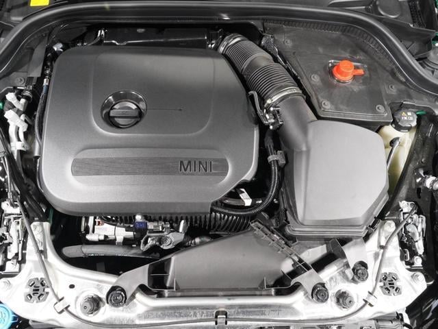 17962771_carP_l_17.jpg