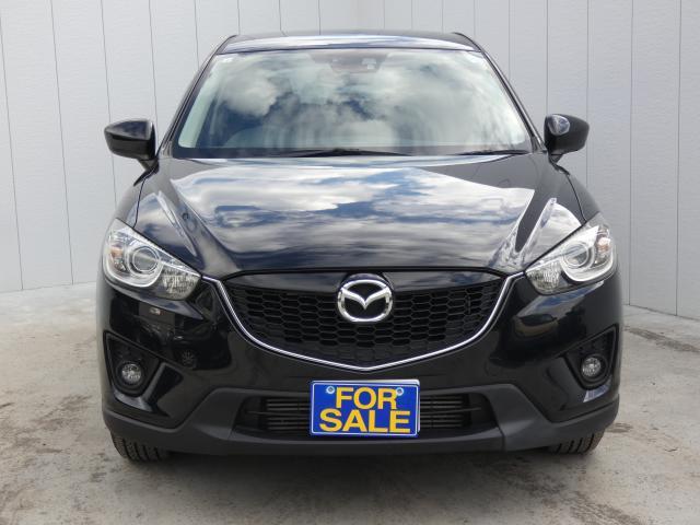 14946171_carP_l_5.jpg