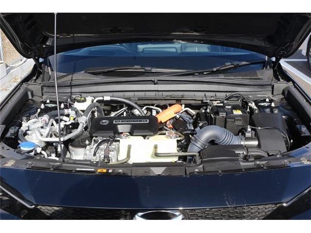 f288de43feb9210e3526c9f78883ac05.jpg
