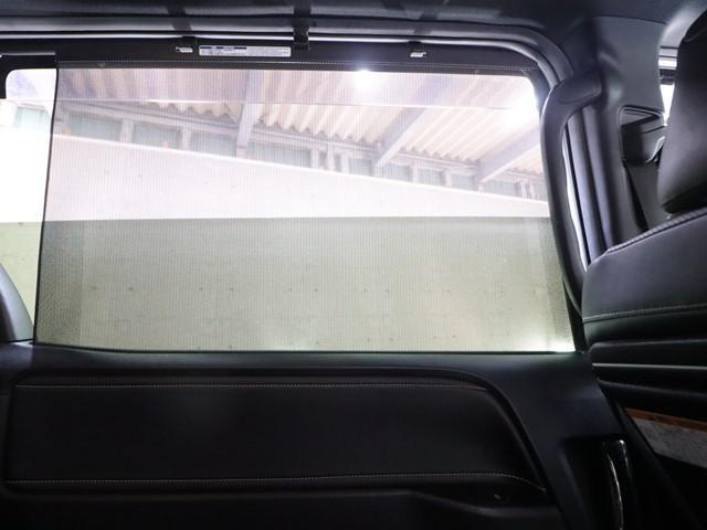 21649698_carP_l_19.jpg