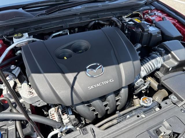 1166145A30250714W00111.jpg