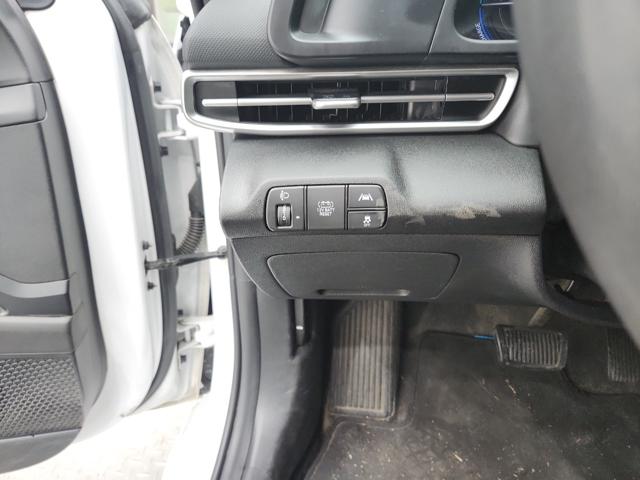 lotterental_15334489_ANXrS_6.jpg