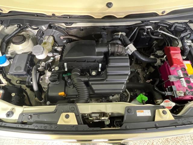 21965866_carP_l_18.jpg