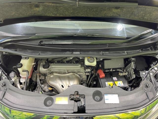 17640240_carP_l_20.jpg