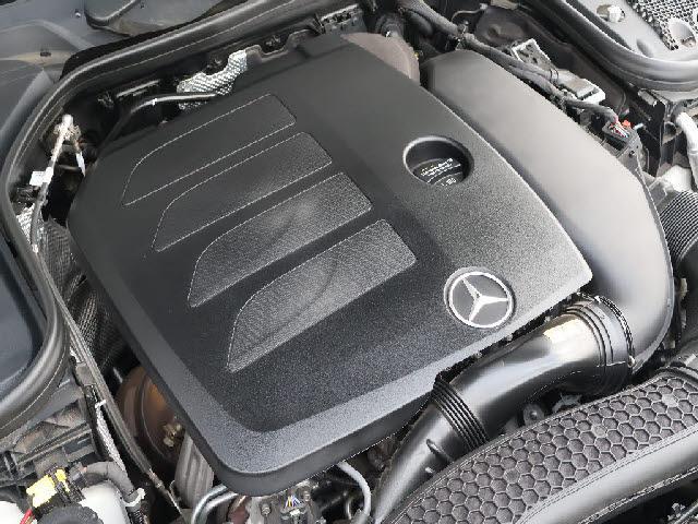 22213918_carP_l_13.jpg
