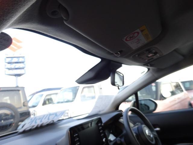e2f7d647bddaf5b0225c6a037a81259e.jpg