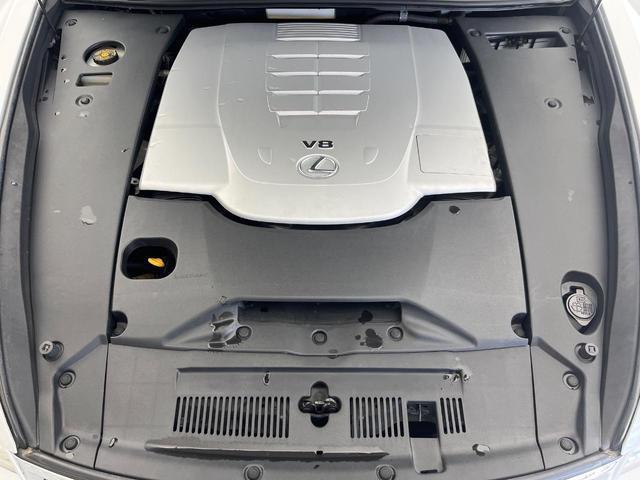 23074258_carP_l_20.jpg
