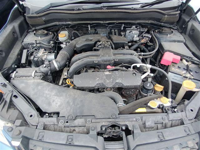 08.jpg