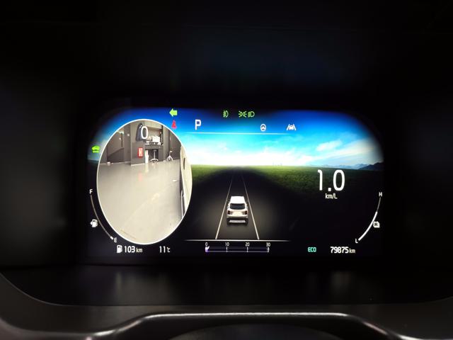 e586fca9d2c953175a98e72fe404c10e.jpeg