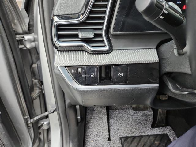 lotterental_134251400_WZm3m_3.jpg