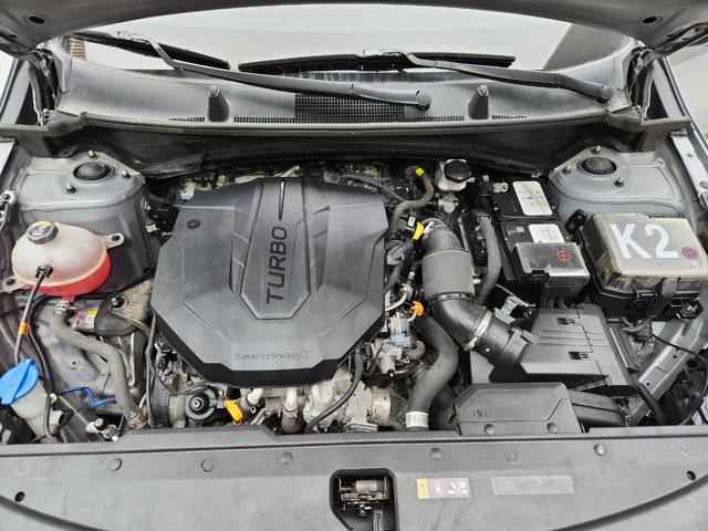lotterental_134251685_gfvca_9.jpg