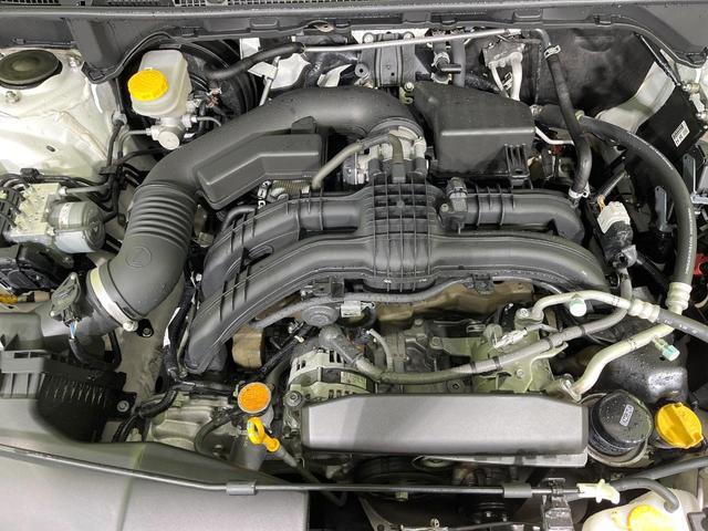 21928484_carP_l_16.jpg