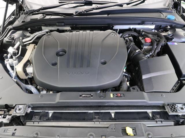 22582174_carP_l_11.jpg