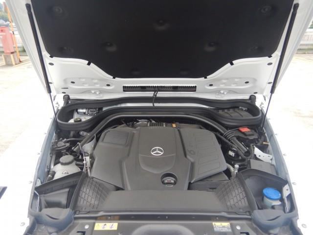 18597586_carP_l_17.jpg