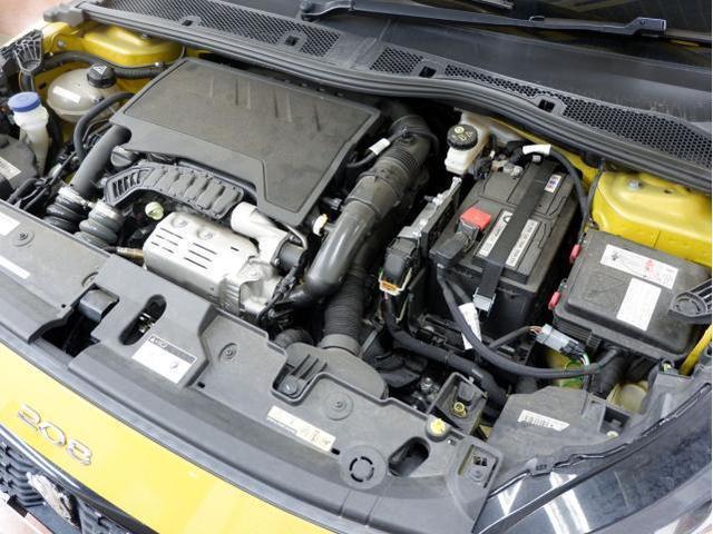 21324615_carP_l_12.jpg