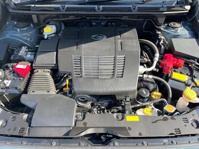 21947256_carP_l_18.jpg